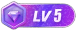 等级-LV5-自嗨网-爱自嗨